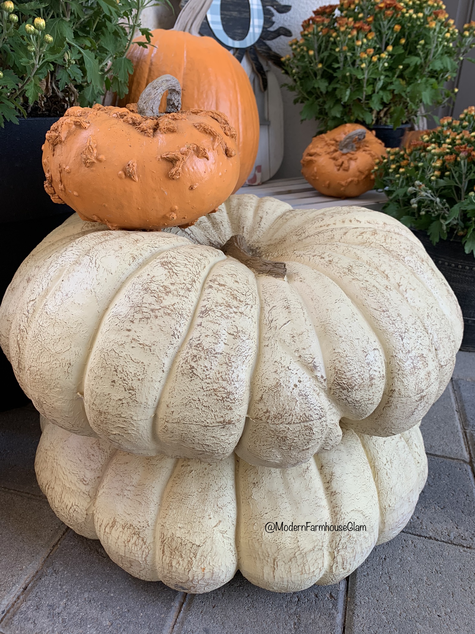 White flat cinderella pumpkin 