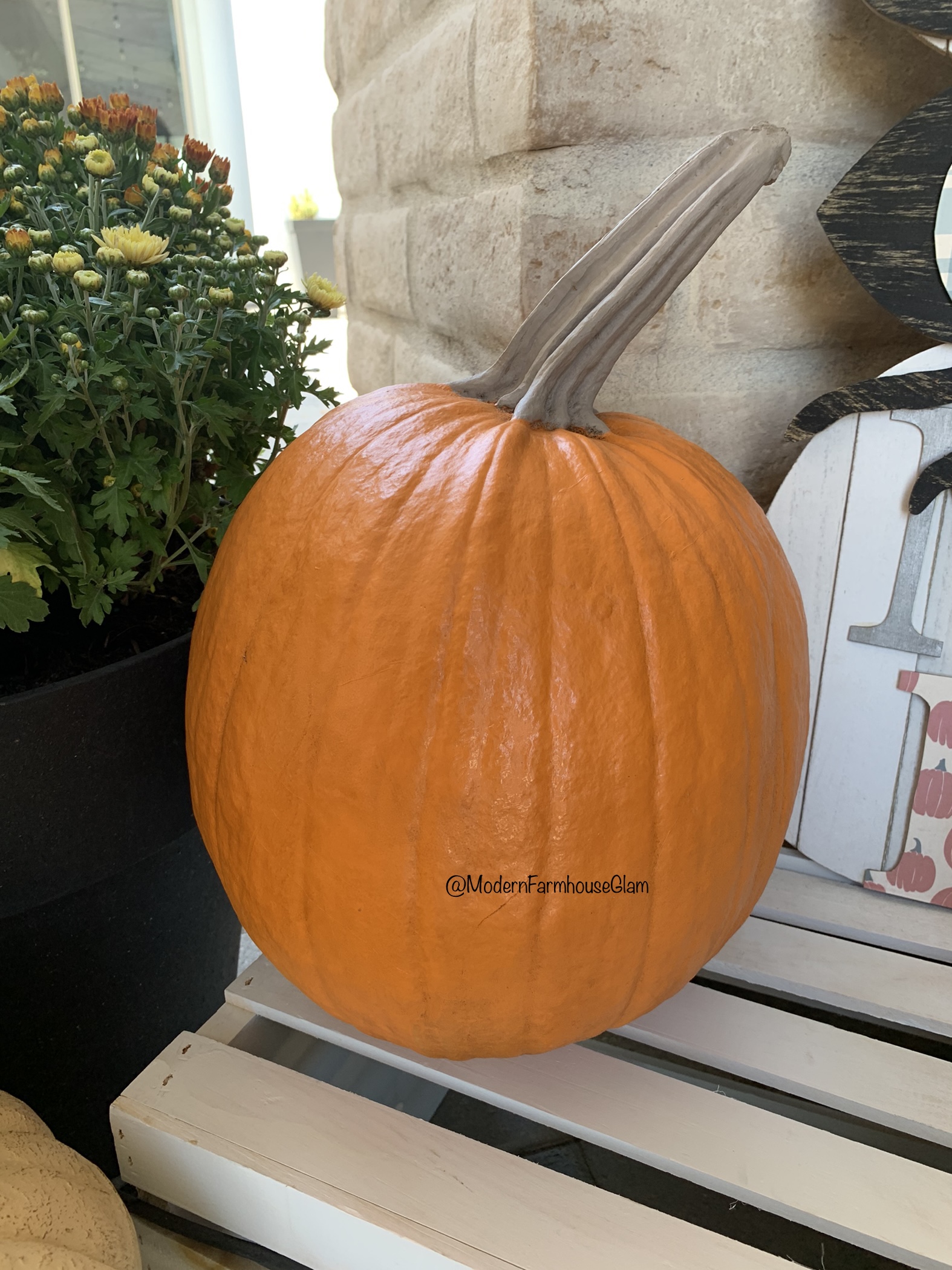 Long stem pumpkin 