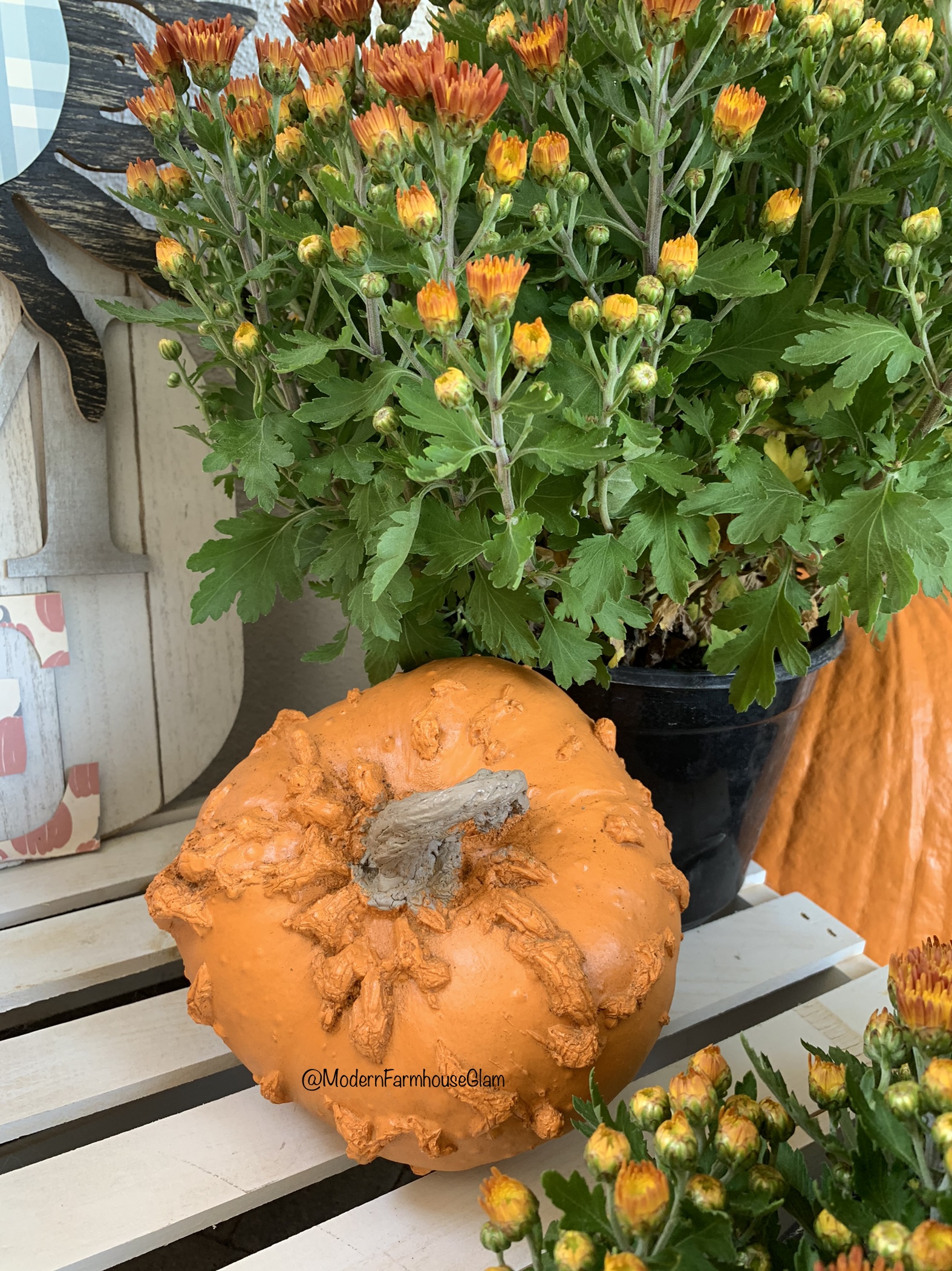 Bumpy Fall pumpkin